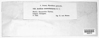 Image Associated With the Occurence